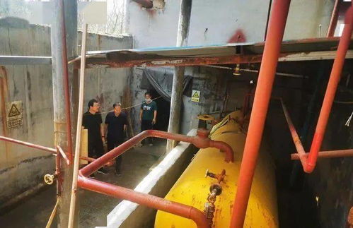 淄博2名安全專家因違規開展業務被嚴懲，罰款9000元并申請吊銷執業資格