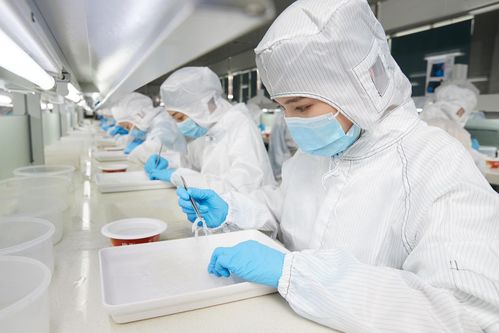 再登世界品質之巔 燕之屋榮獲歐盟BRC IFS雙認證，硬件研發成就卓越
